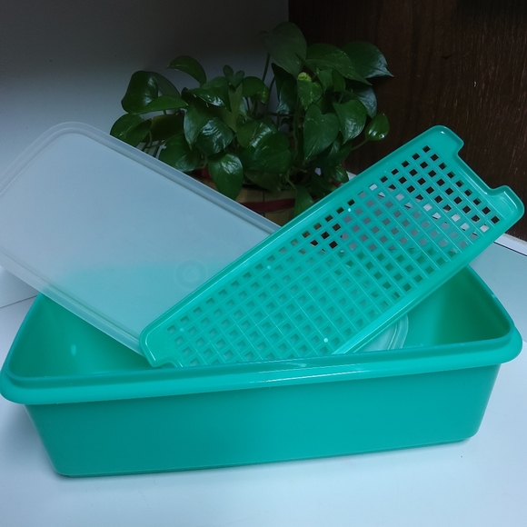 Vintage Tupperware Jadeite Celery Keeper